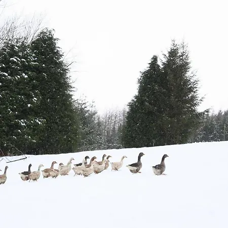 Snow Whites House - Farm Park Stay With Hot Tub Swansea Exterior photo