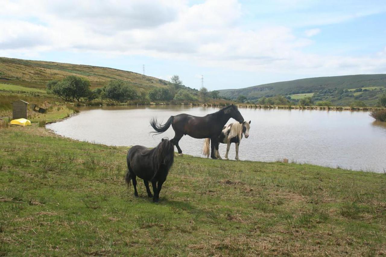 Casa vacanze Snow Whites House - Farm Park With Hot Tub Swansea